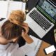 debt recovery Enforcing a Judgement lawyers on the Sunshine Coast debt stress