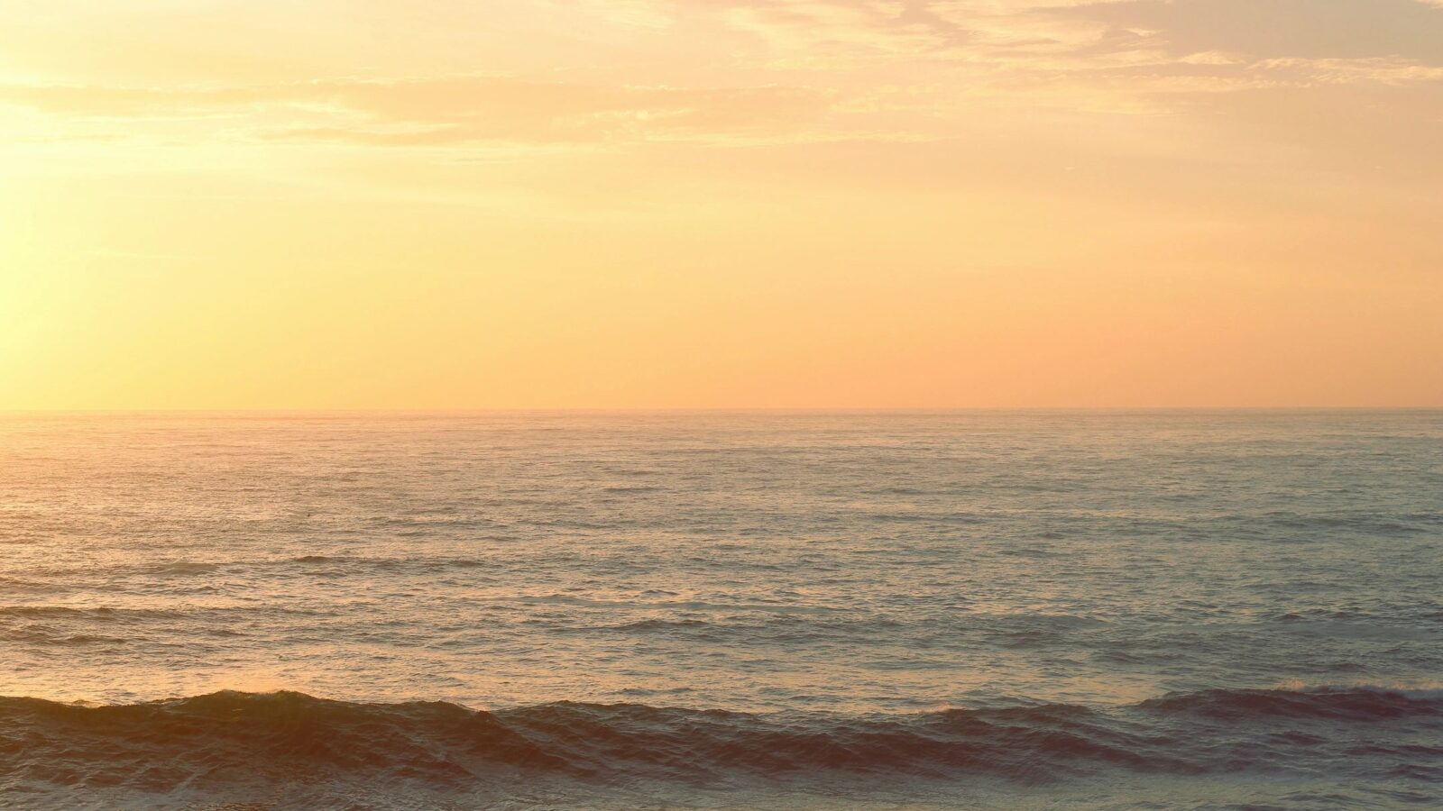 Buying a Sunshine Coast Property