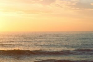 Buying a Sunshine Coast Property