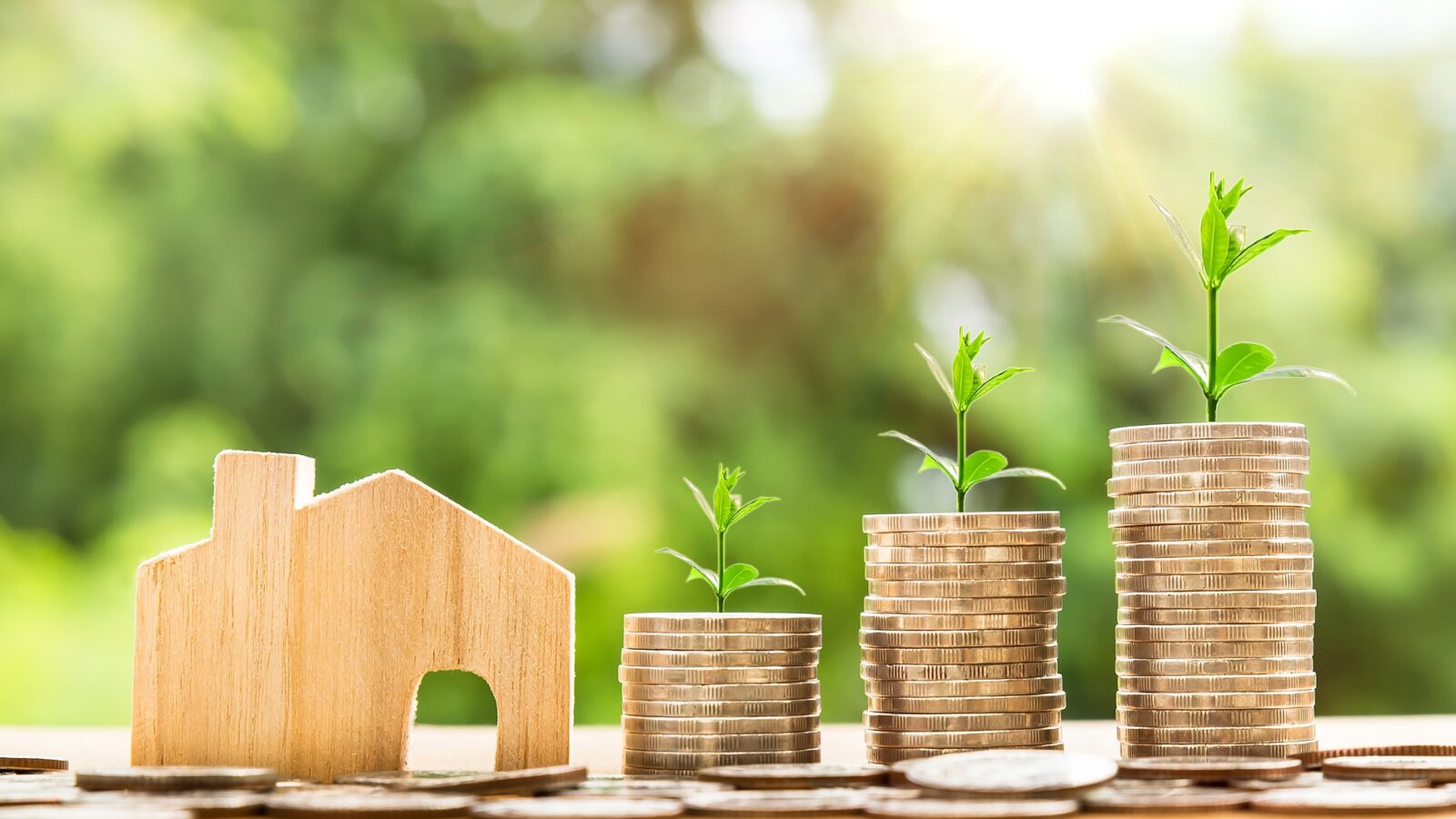 10 Things Every First Home Buyer Should Know Sunshine Coast property lawyers
