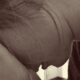 What is Workplace Bullying in Queensland Sunshine Coast Lawyers